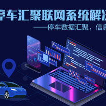 城市停车汇聚联网系统解决方案