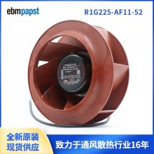 R1G225-AF11-21  R1G225-AF11-52 ¹ebmpapstֱ