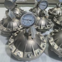 GHMZ-4.0L DN40 DN50 ĤƬʽ˿