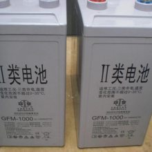 ˫GFM-1000/2V1000AH
