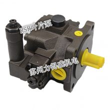 大量现货RSR电磁阀DSG-03-2B2-A220