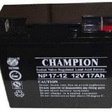 *** NP7-12 12V7AH Ǧά