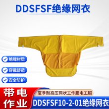 ļ״繤DDSFSF10-2-01Ե10kV͸ѹη