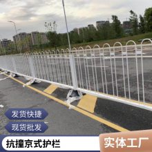 河北安平多款式静电喷涂京式护栏 免维护人行道分离商场隔离栅
