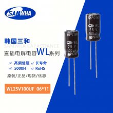 ͲWL25V100UF 06*11е