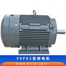 ̩ ЧʱƵٵYVFE2-225M-6 30KWǧ 5-100Hz B3