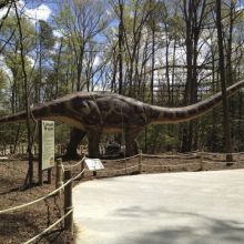 仿真恐龙恐龙公园恐龙模型大型恐龙模型工厂会动会叫的恐龙动物