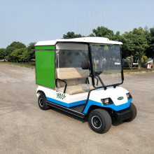 绿通 LVTONG 货箱可定制的小型电动货车 (此价格为定金）