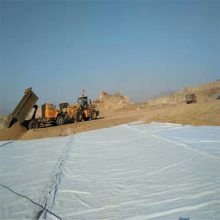 河南涤纶复合土工膜 尾矿库防渗黑色一布一膜