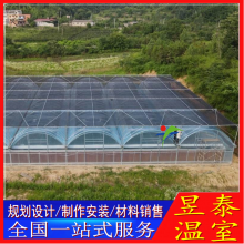 蔬菜育苗种植大棚风机湿帘降温昱泰连栋薄膜温室YTWSGX1511