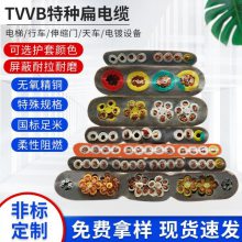 TVVBػݵ綯ͭо
