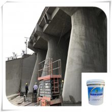雄县聚合物水泥防腐浆料_混凝土薄层防腐材料生产商