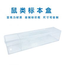 全透明鼠类标本盒标本展示亚克力标本盒