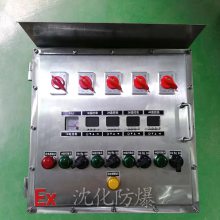 BXM(D)51-6K现场防爆称重仪表箱 304不锈钢控制箱 照明动力配电箱