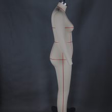 ̨ŷŮȫ12ưģ