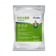 益昊厂家 供应农业生***种 哈茨木霉菌 防根腐 制作微生物肥