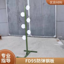 Ʒ FDT2 4mm Ʊ ֤ ͼ רҵָ