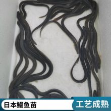 糡 ڰʵ ˮƷʺ ͻ