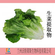 生菜膳食纤维 生菜速溶粉 现货包邮