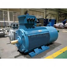 YVF2-4501-2-355KW/10KV/B3ʽ/5-50HZѹƵٵ