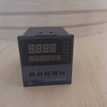 XTMD-100智能数显调节仪 温度 压力显示表