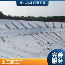 [土工膜]黑色水产养殖防渗复合土工膜 批发藕池鱼塘hdpe土工膜世杰