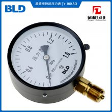 BLDY-100.AOޱ100mmѹ1.6IP54