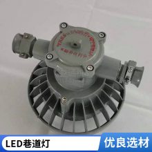 DGS60/127L(A)矿用隔爆型LED巷道灯 煤矿井下60w防爆支架投光灯