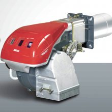 RS190 RS190/M RS250/M·RIELLOƷȼջ ԭװȼȼ