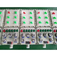 BXX51-4K޲/䶨