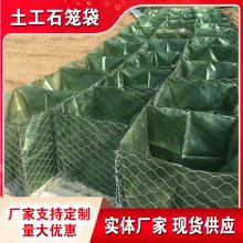 宝兴县河道护坡用石笼袋 生态土工固袋格厂家