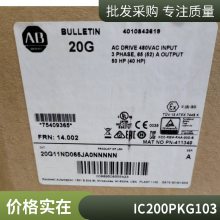 GE Fanuc IC200PNS001 ģ Դ·