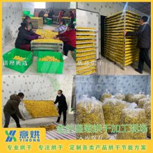 金丝黄菊烘干机 四川意烘金丝皇菊烘干房 菊花烘干房 YH-K15/S