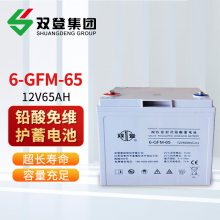 双登蓄电池6-GFM-65阀控密封式铅酸12V65AH UPS/EPS电源配套
