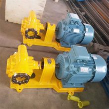 YCB3.3-0.6圆弧齿轮泵不阻塞 输送平稳 不锈钢混浆泵 经久耐用