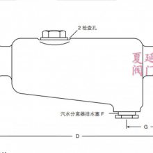 spiraxsarco斯派莎克S12球墨铸铁汽水分离器、S12螺纹汽水分离器、DN50