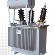 ·źűѹS20-BM-30KVA,10-0.4KV,Dyn11