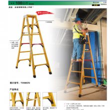 ���� WERNER/���� T3906CN ȫ������˫��������