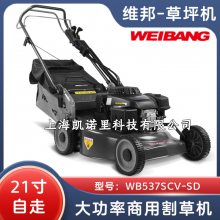 άWB537SCV-SDƺݻ 21߸ֵ̲ƺ󼯲