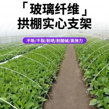 玻璃钢大棚支撑杆 实心纤维拱棚杆玻纤蚊帐支架窗帘拉杆