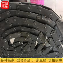 C212A节距38.1链条C2060双节距链条湖北武汉链条生产商