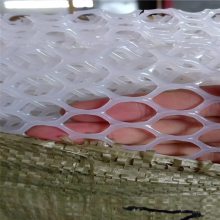 抹灰用塑料网兴来 防晒塑料网 蛋鸡育雏网床厂