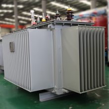 ͨ S20-2500kva/10kv-NX2ͽʽѹ ͽ Ч