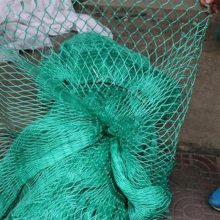 绿色6股家禽养殖网 农业养鸡聚乙烯编织绳PE渔网 有结绳网