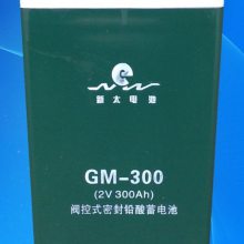 ̫GFM-10002V1000AHǦ