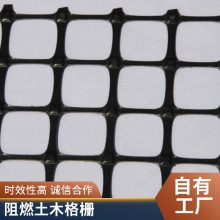 河北上兴路面加筋用复合土工格栅 孔眼均匀高强抗拉稳固性强