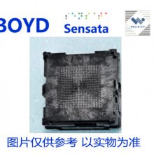 FBGA256-027C BOYD/SENSATA/TI/QINEX FBGA-256-1.0-21.0X21.0
