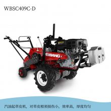 άWBSC409C-DƤʽͶƺֲ