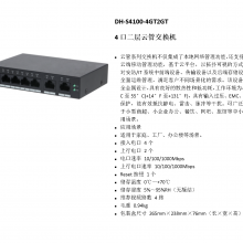  DH-S4100-4GT2GT ʽ4ڶƹܽ