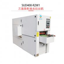 pSUD400-R2W1殐νْzC